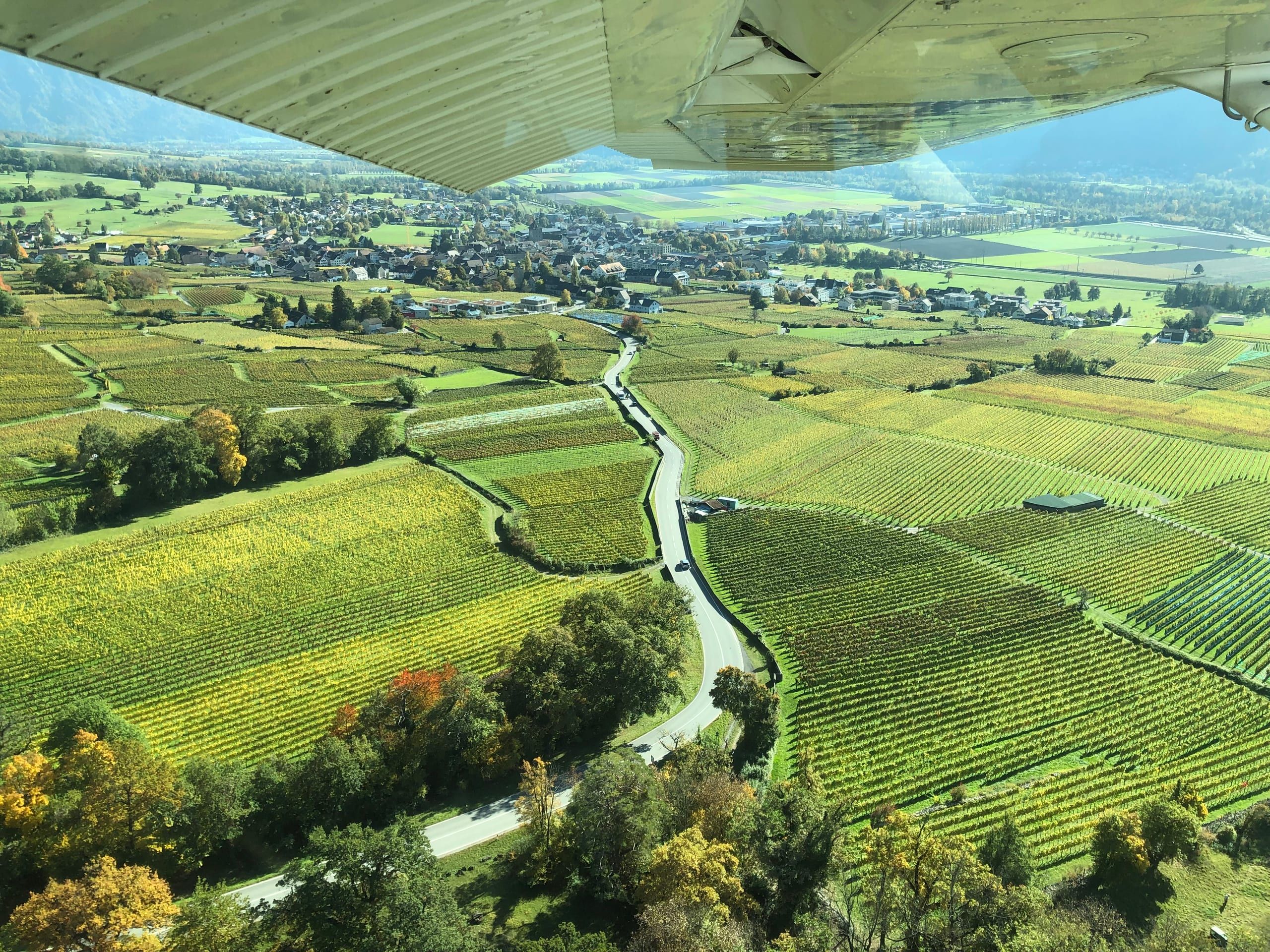 Below the wing: vineyards of the Bündner Herrschaft in autumn, a village in the Rhine valley behind